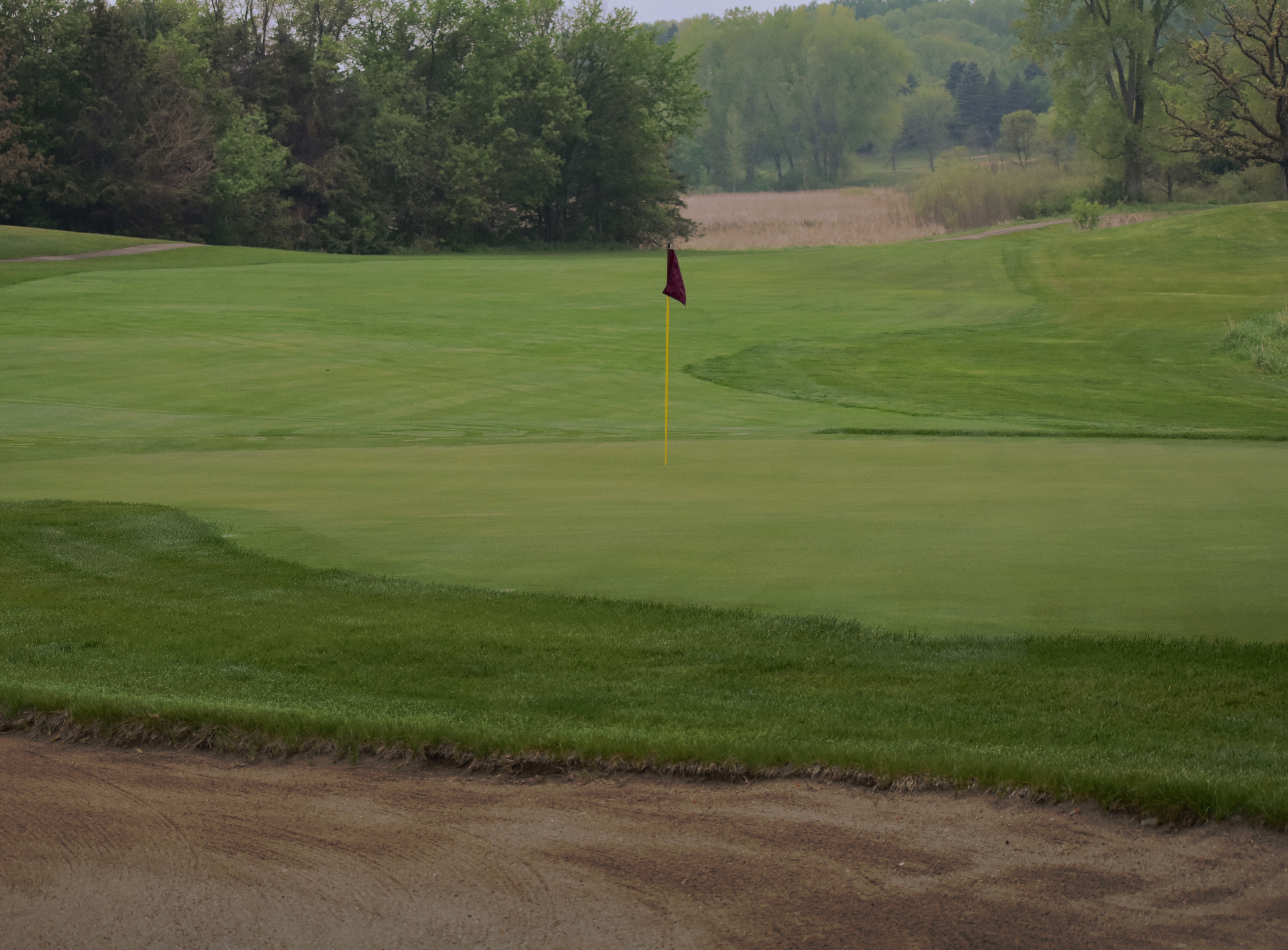 1FAA3436-1CC1-489C-9030-23DB562A8C63 1 201 a