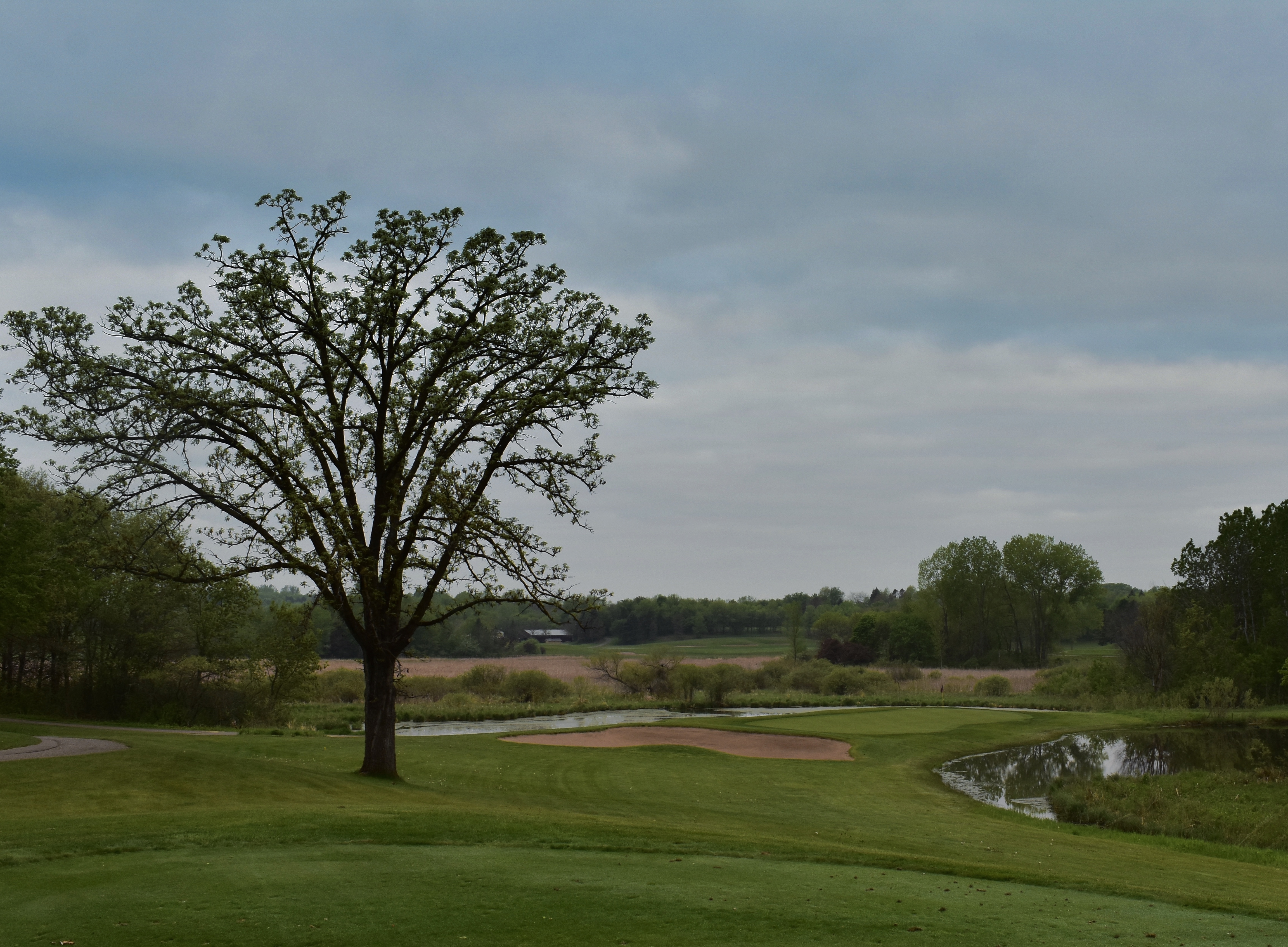 2A9E811E-14EA-40F5-8634-EA604BA05258 1 201 a