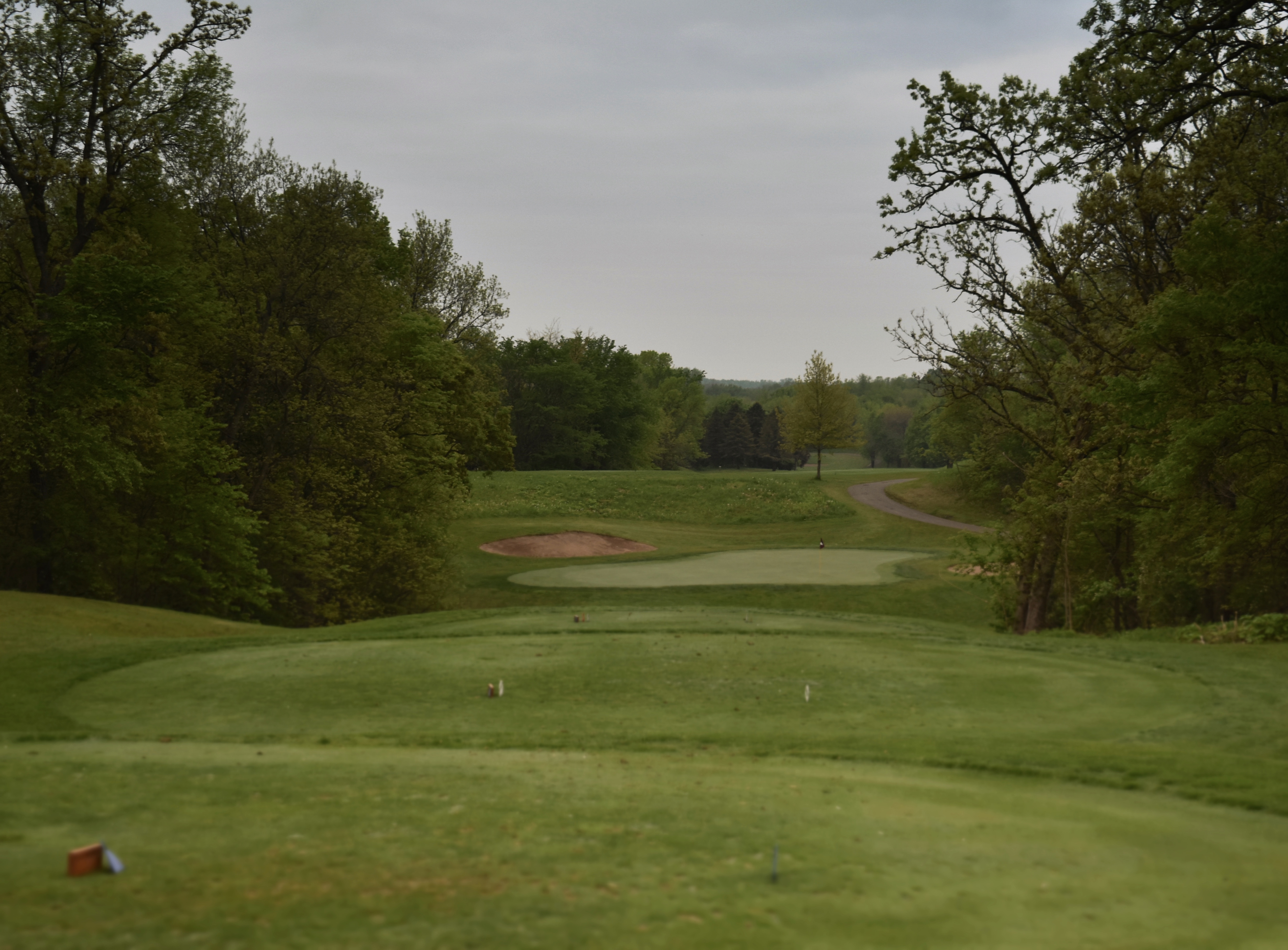 2F1669F4-1BDD-43C8-B903-442FE8B85B54 1 201 a