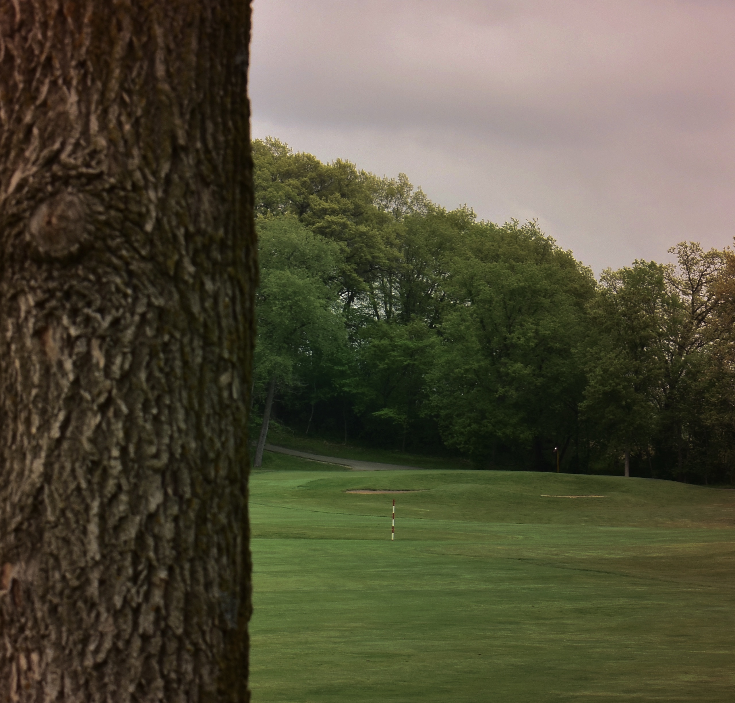 3095CF48-17B8-4A0A-9296-C8E3FD21E28E 1 201 a