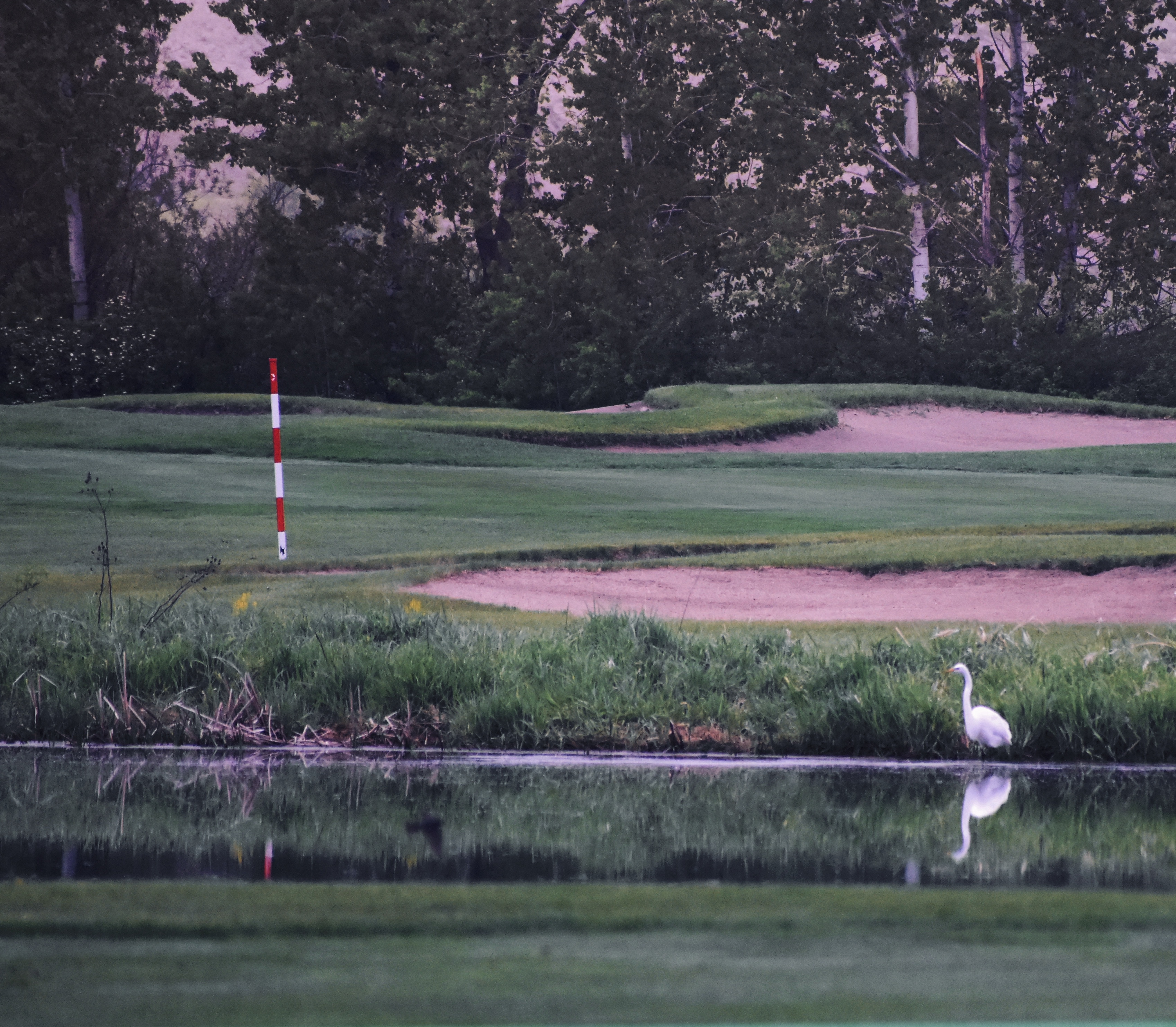 40F6116F-4B7A-4620-8F80-8C1DE8A7A2FF 1 201 a