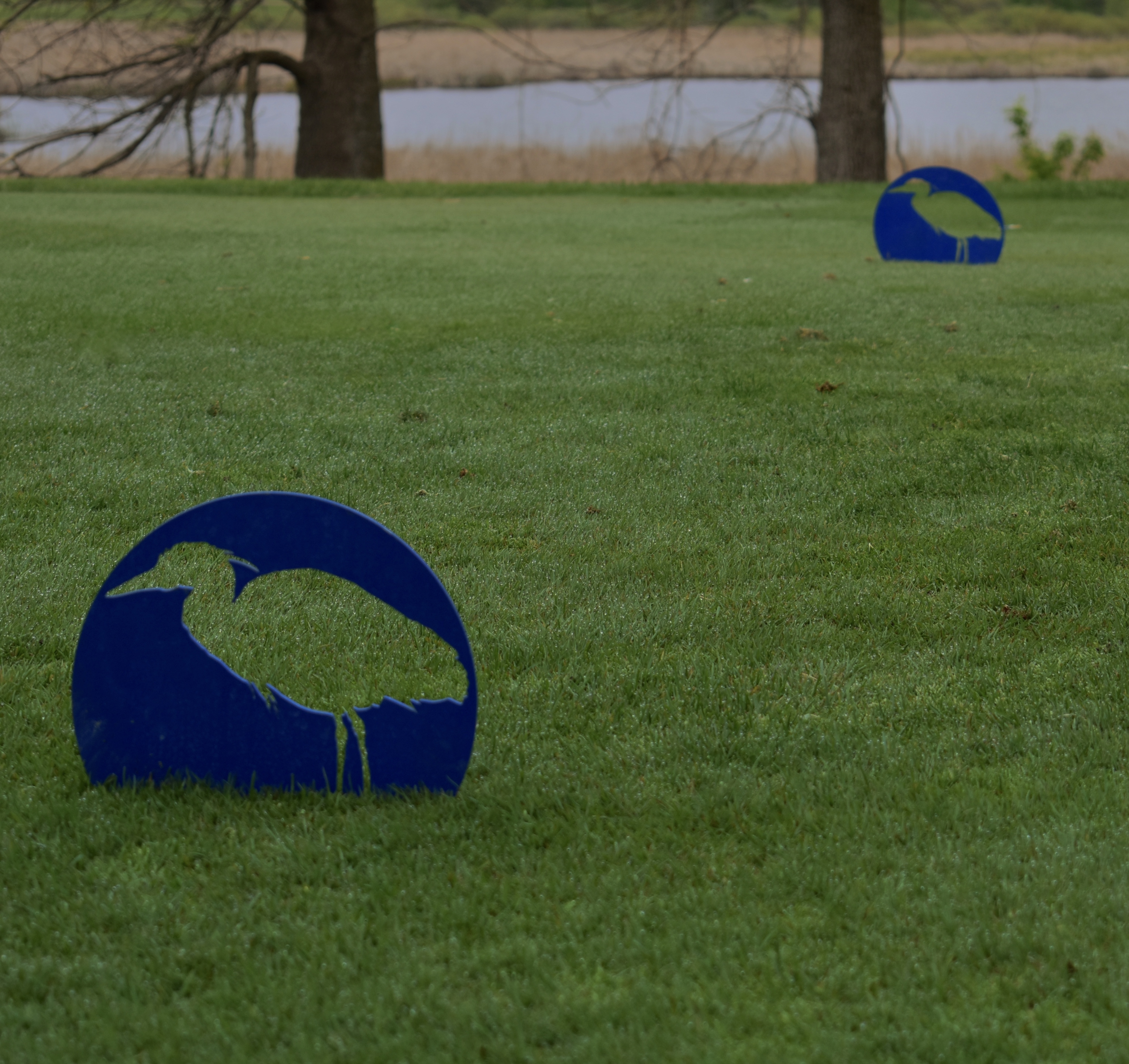 52BFCB36-7381-4C76-BC75-1C6FF3A317AA 1 201 a