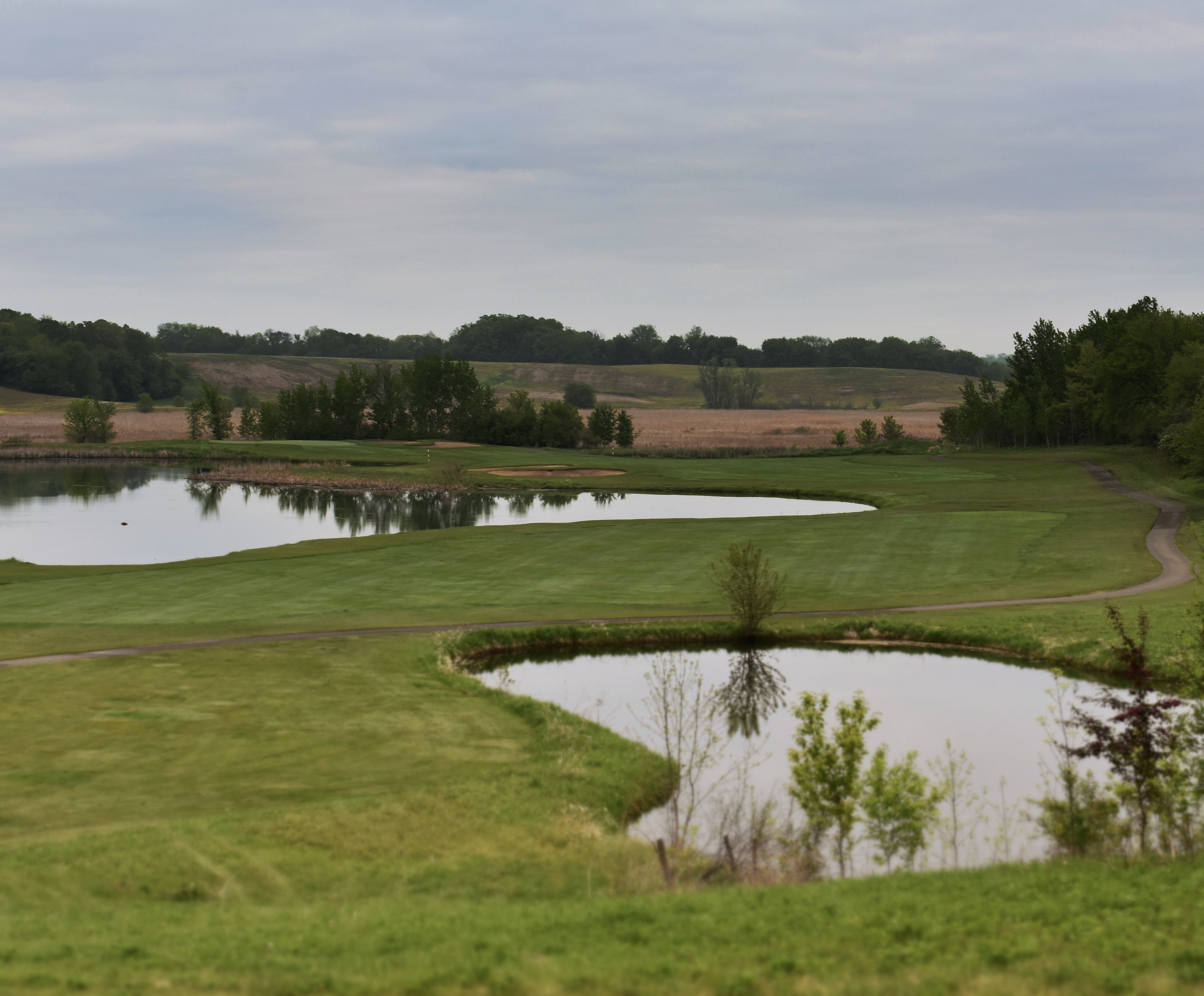 532E2387-8248-4AFD-92D1-22CAE202A576 1 201 a