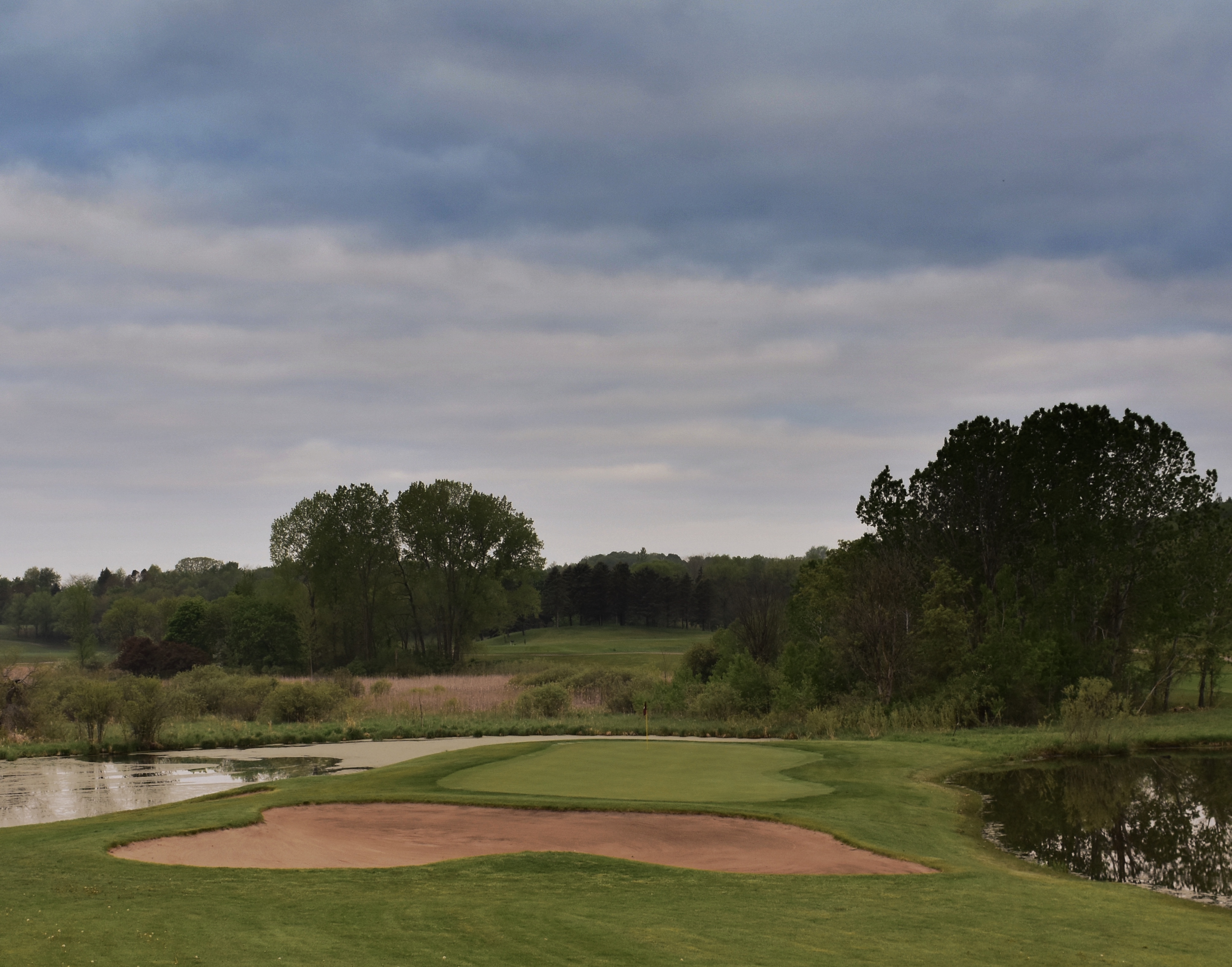 568F8647-5A79-4C8B-AE37-CFC15B2D3193 1 201 a