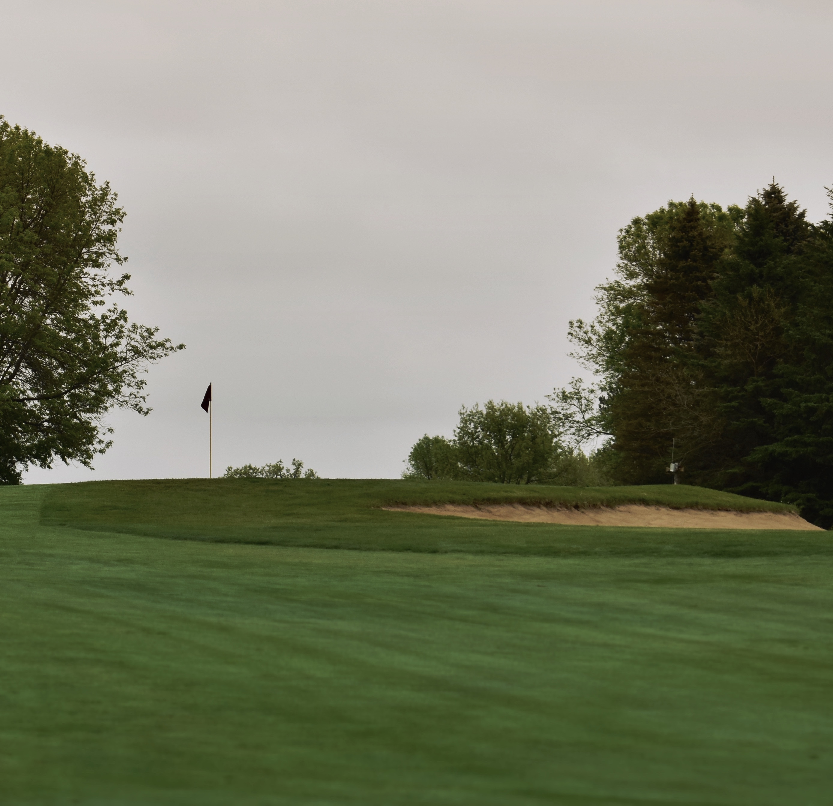 828321E3-96BE-4E7E-83EF-57AA5DC20783 1 201 a