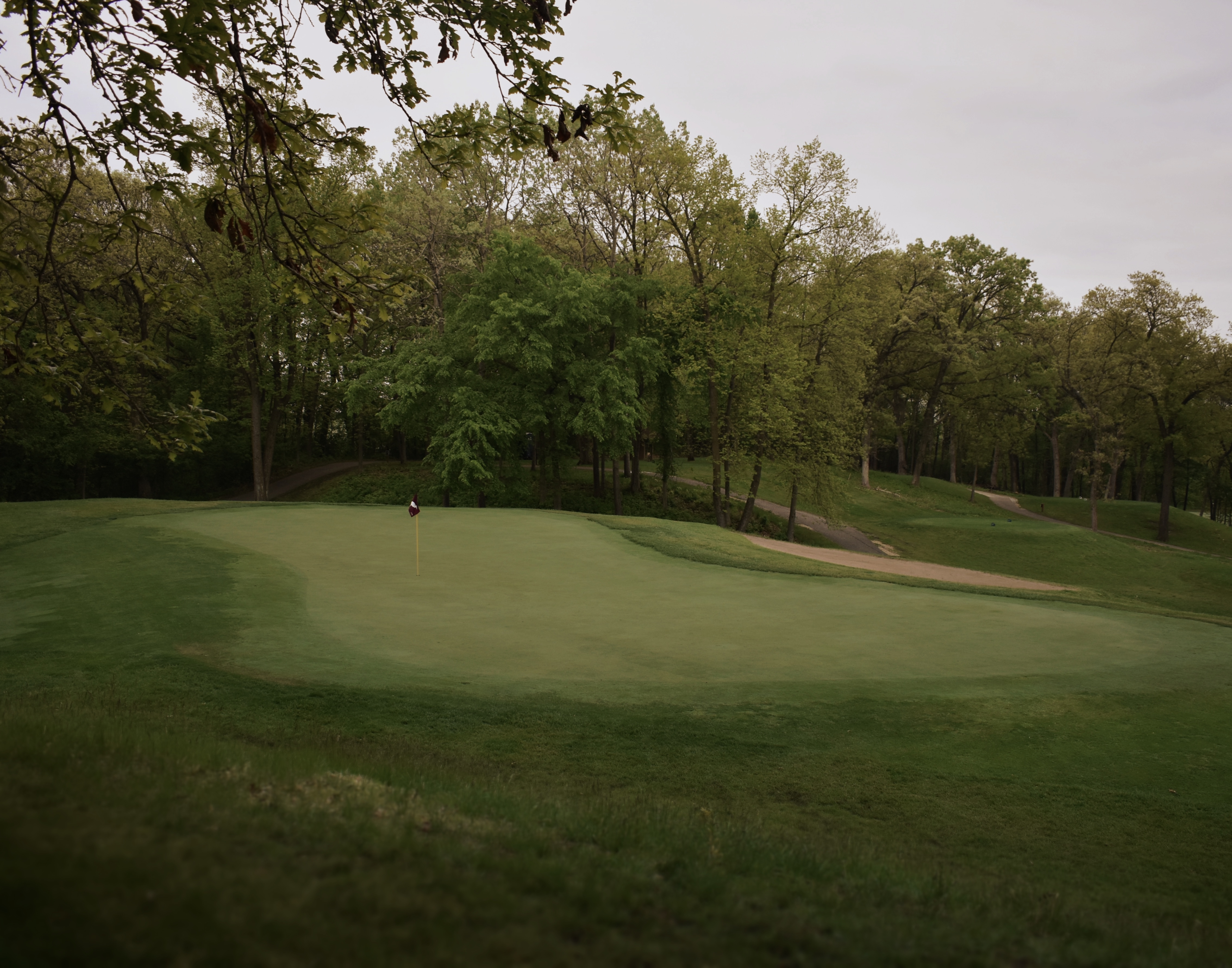 AA0F8531-4304-4122-9EDD-7A5045BA4E52 1 201 a