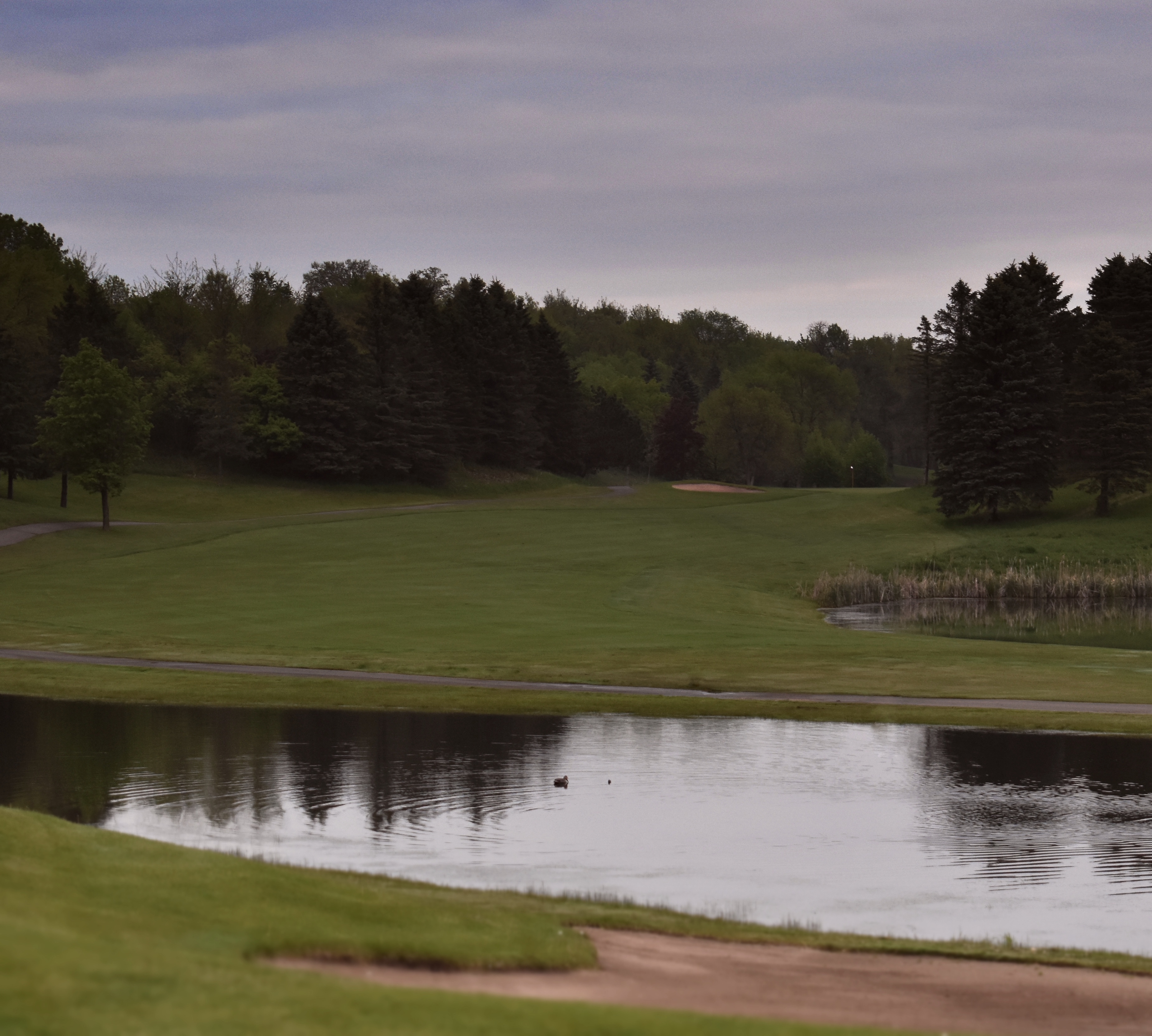 C9F69A9A-B122-4B58-AB66-6FE48E98D2B2 1 201 a