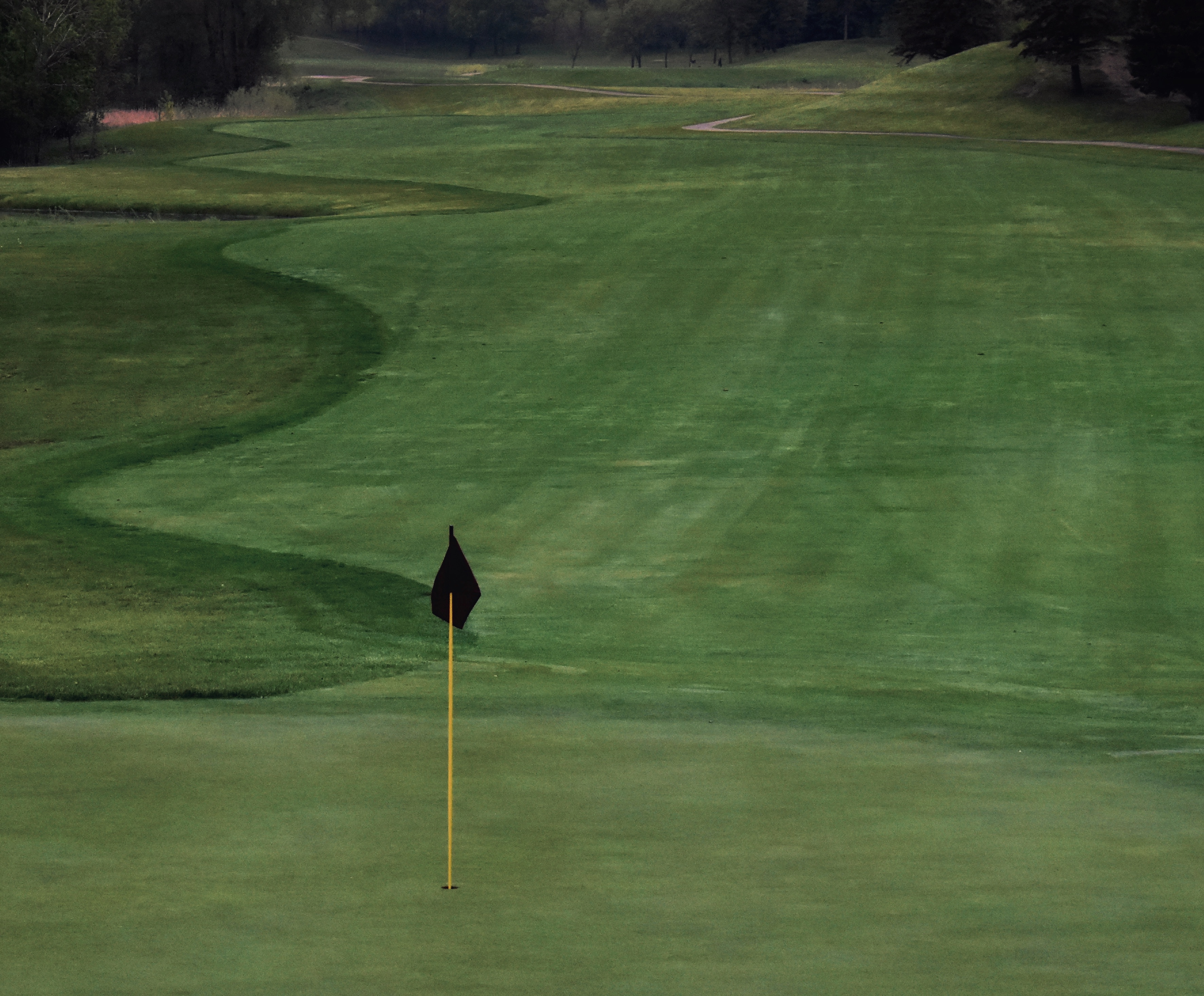 E9BB06E1-CBE6-444F-987D-9424F058C762 1 201 a