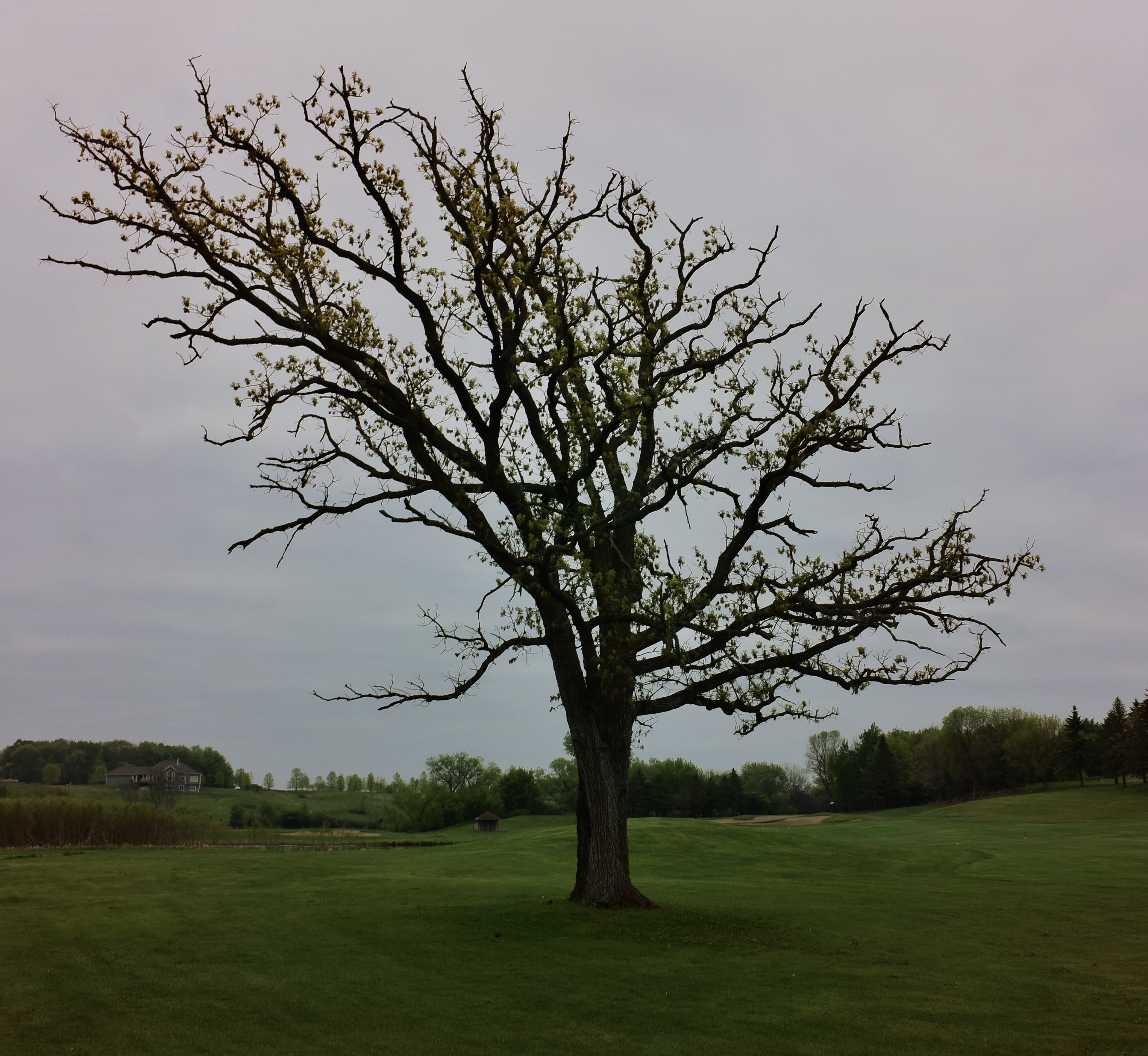 EB588953-33F2-4DB2-B0F6-48676D02897D 1 201 a