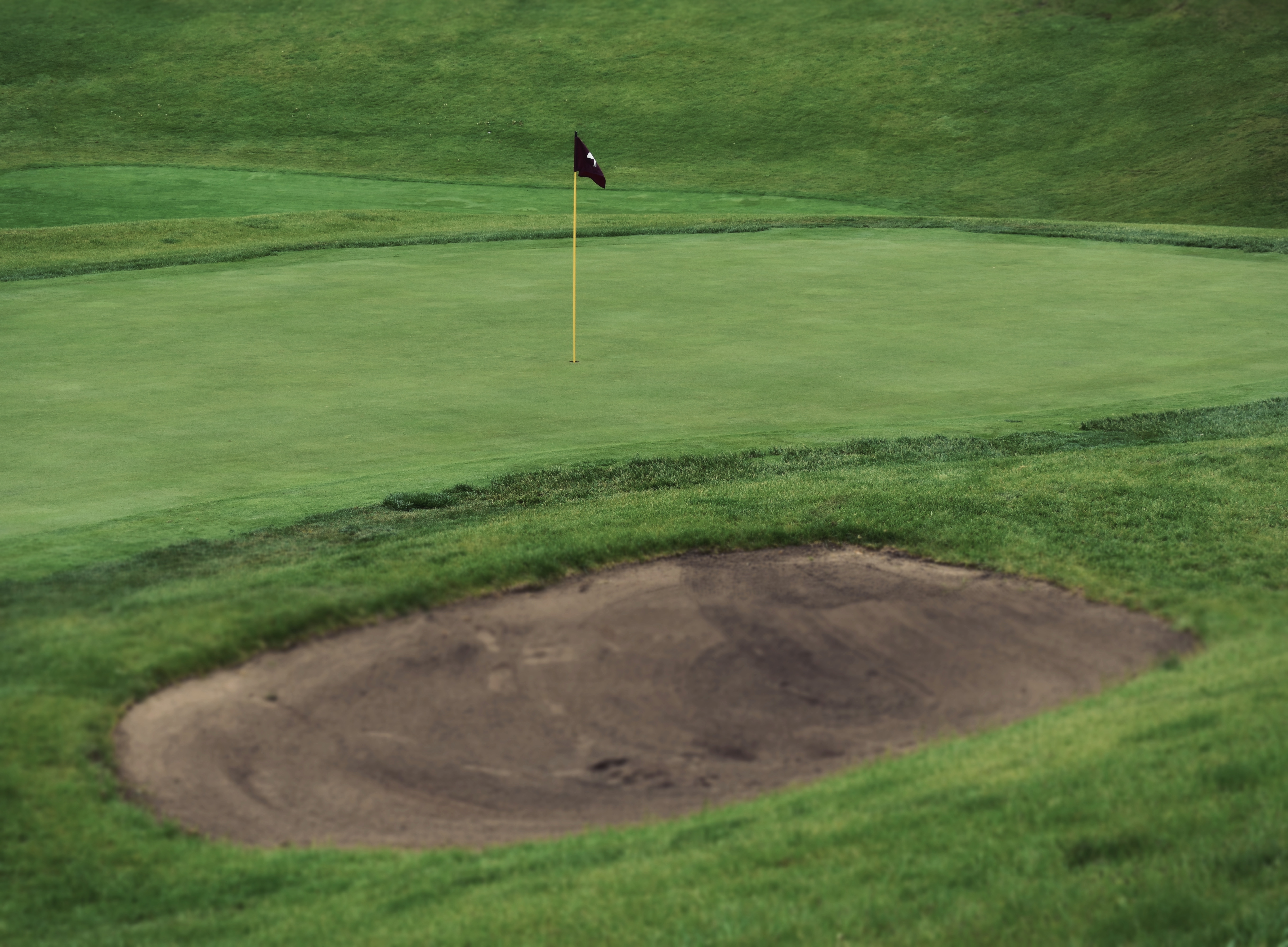 F4E37842-F38B-4AF2-9545-DD8D74E4EDFD 1 201 a